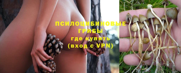 соль курить ск Лиски