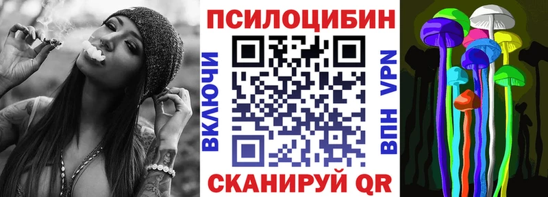Галлюциногенные грибы Psilocybine cubensis  Пролетарск 